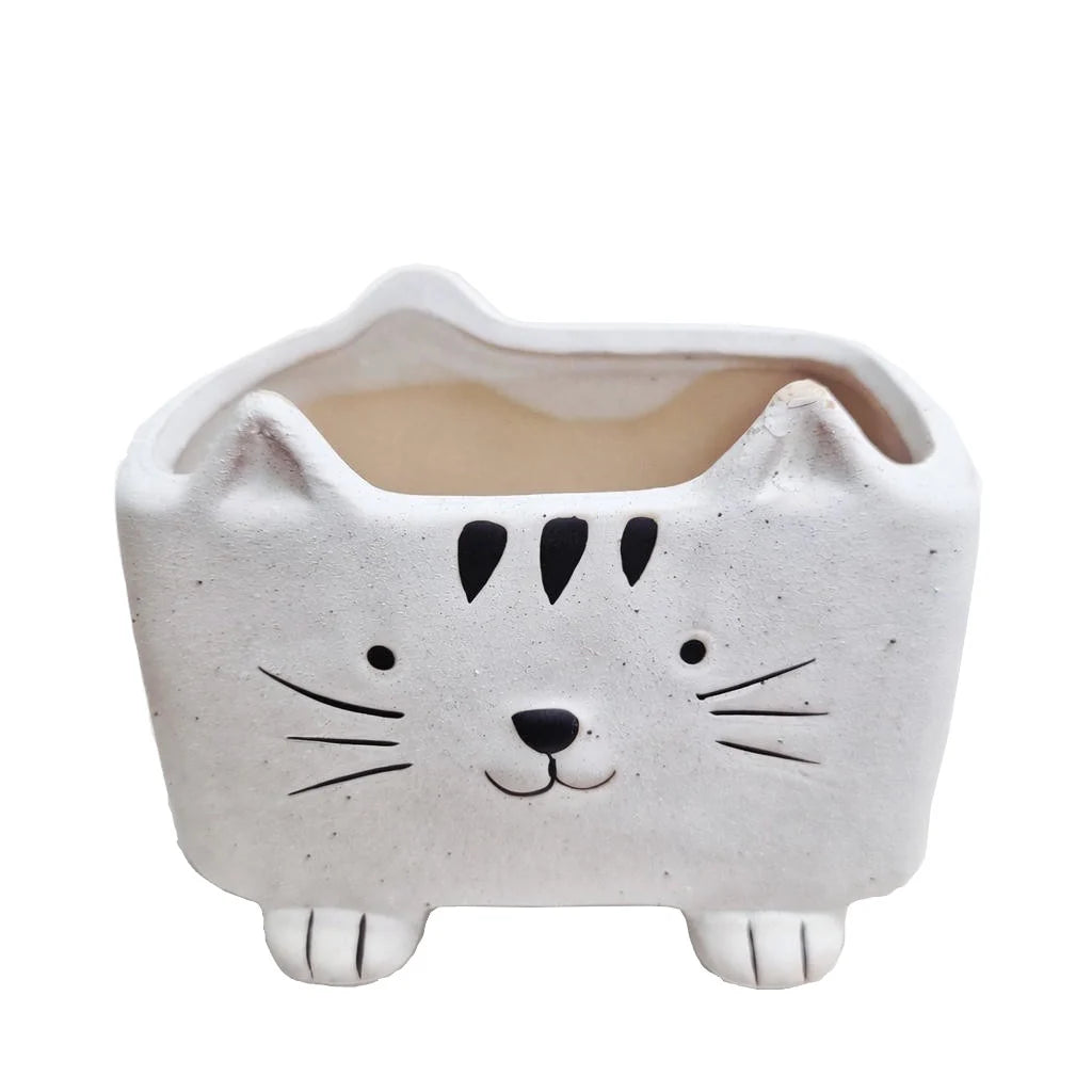 Squared Pastel Cat in Assorted Colors