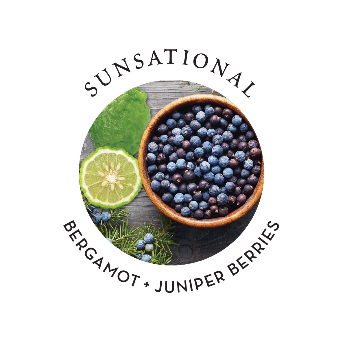 Earthly Body Hemp Seed Hand & Body Lotion - Sunsational 16oz