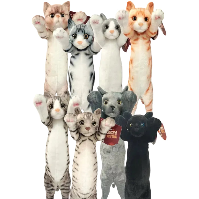 Crazy Kitten 22" Standing Cat V2