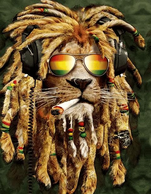 Rasta Lion 3D Lenticular Internally Framed Art 14" x 18"