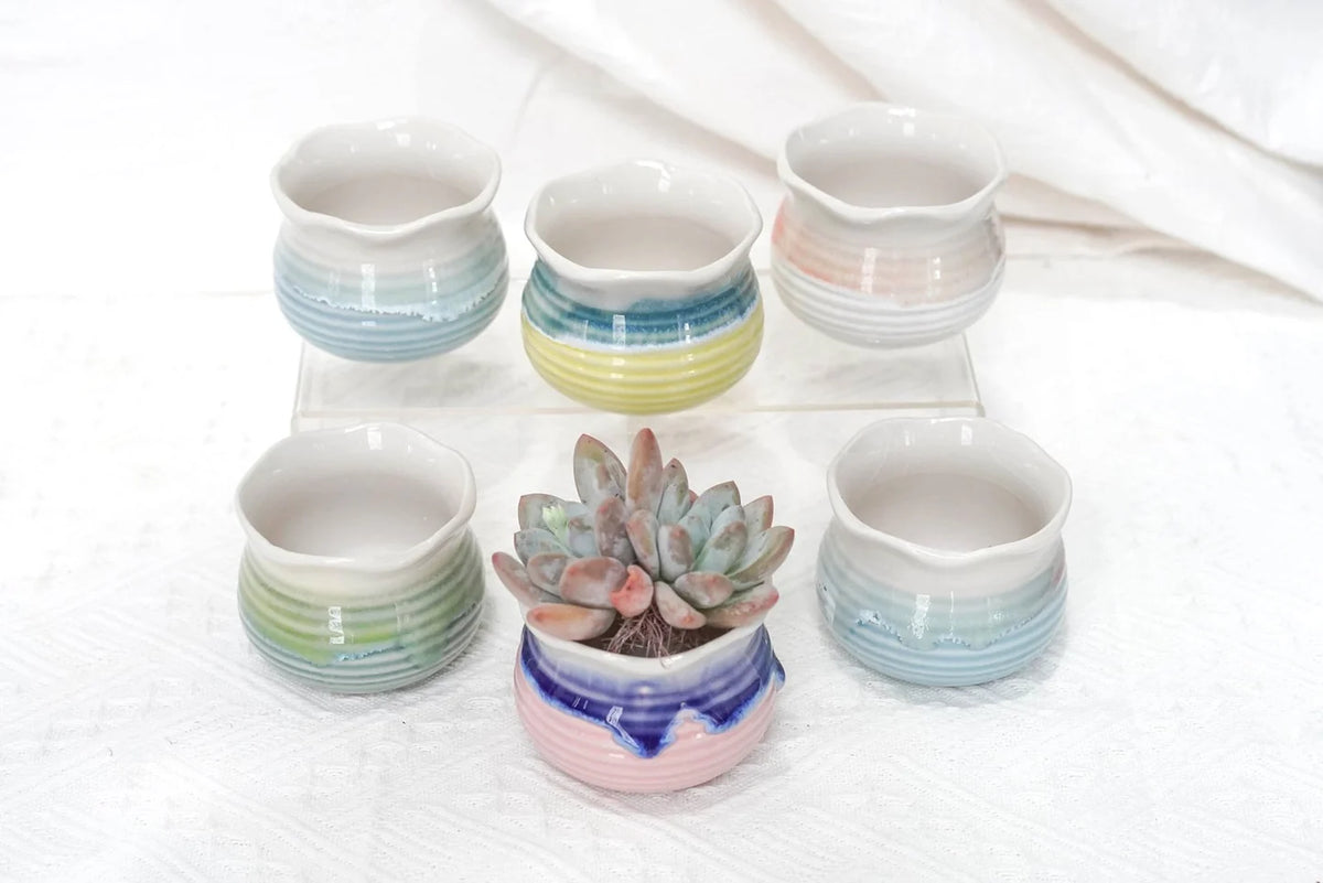 Glazed Colorful Lotus Pot in Assorted Colors