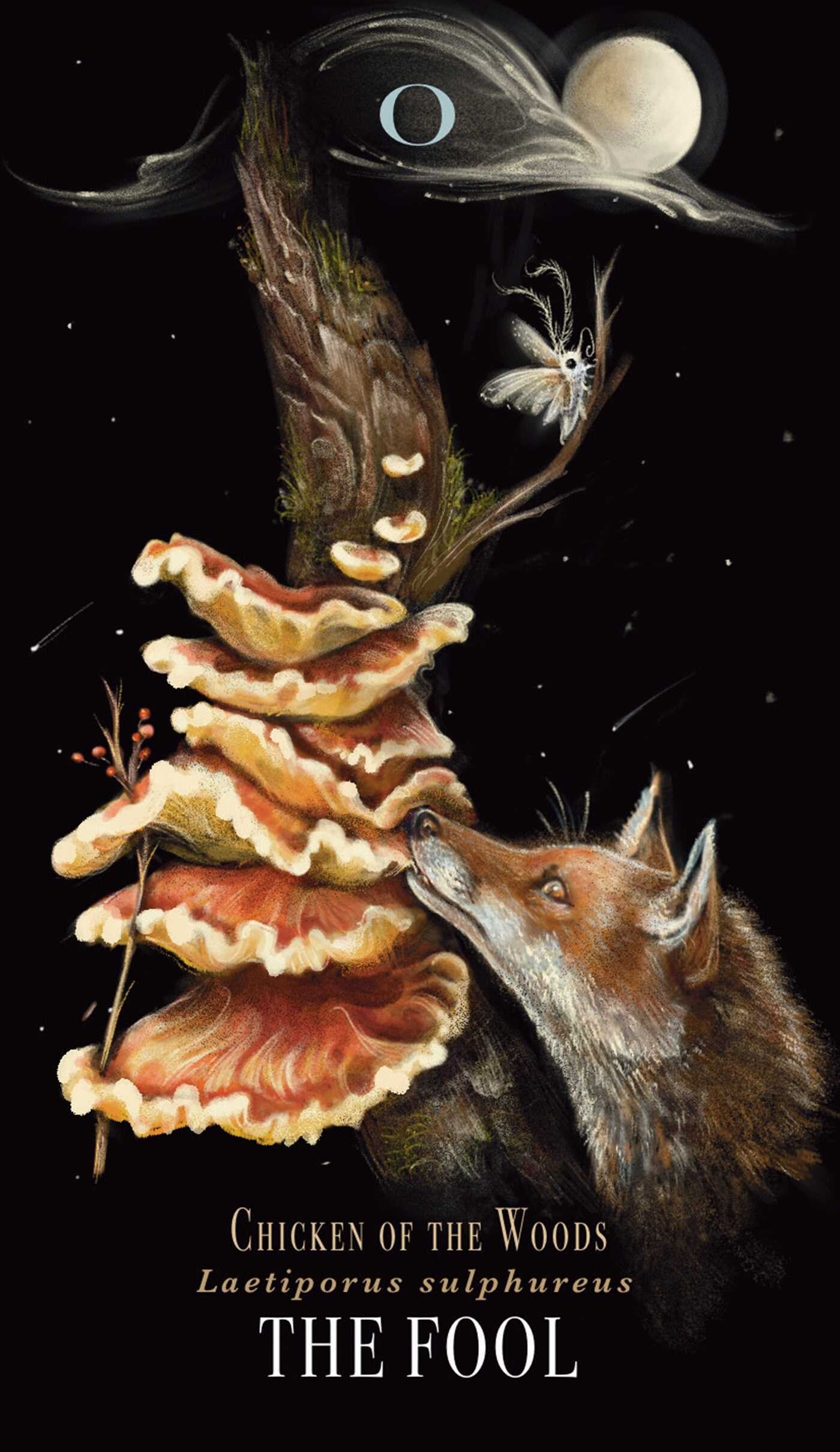 Midnight Magic Tarot Deck