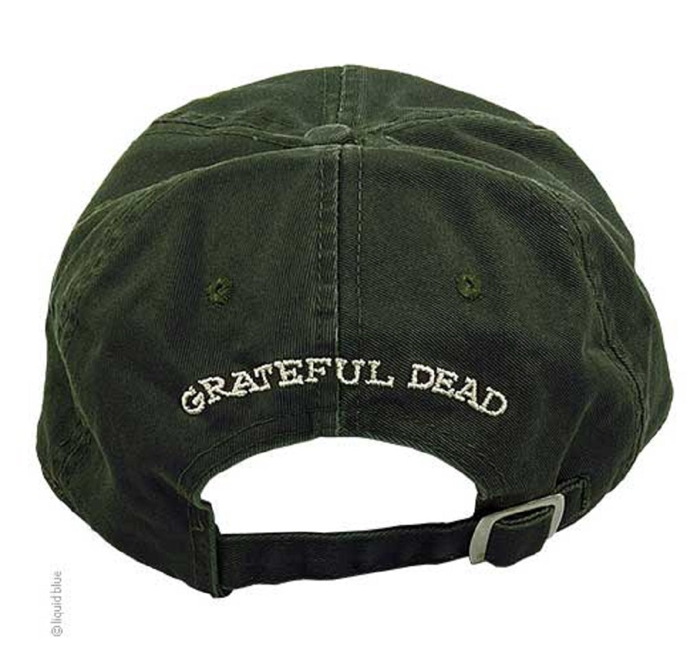 Grateful Dead Alumni Tour Bolt Green Hat SALE