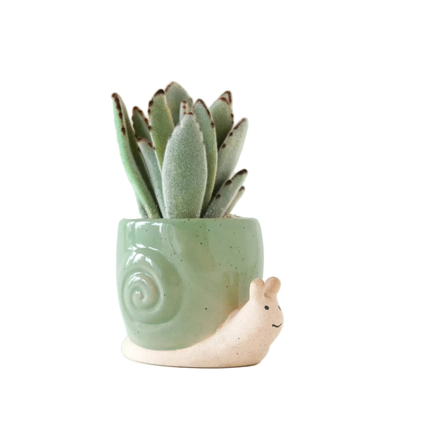 Snail Planter in Lagoon - Small