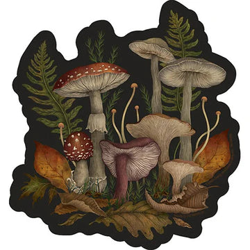 Episodic Drawing Autumn Mushrooms Sticker