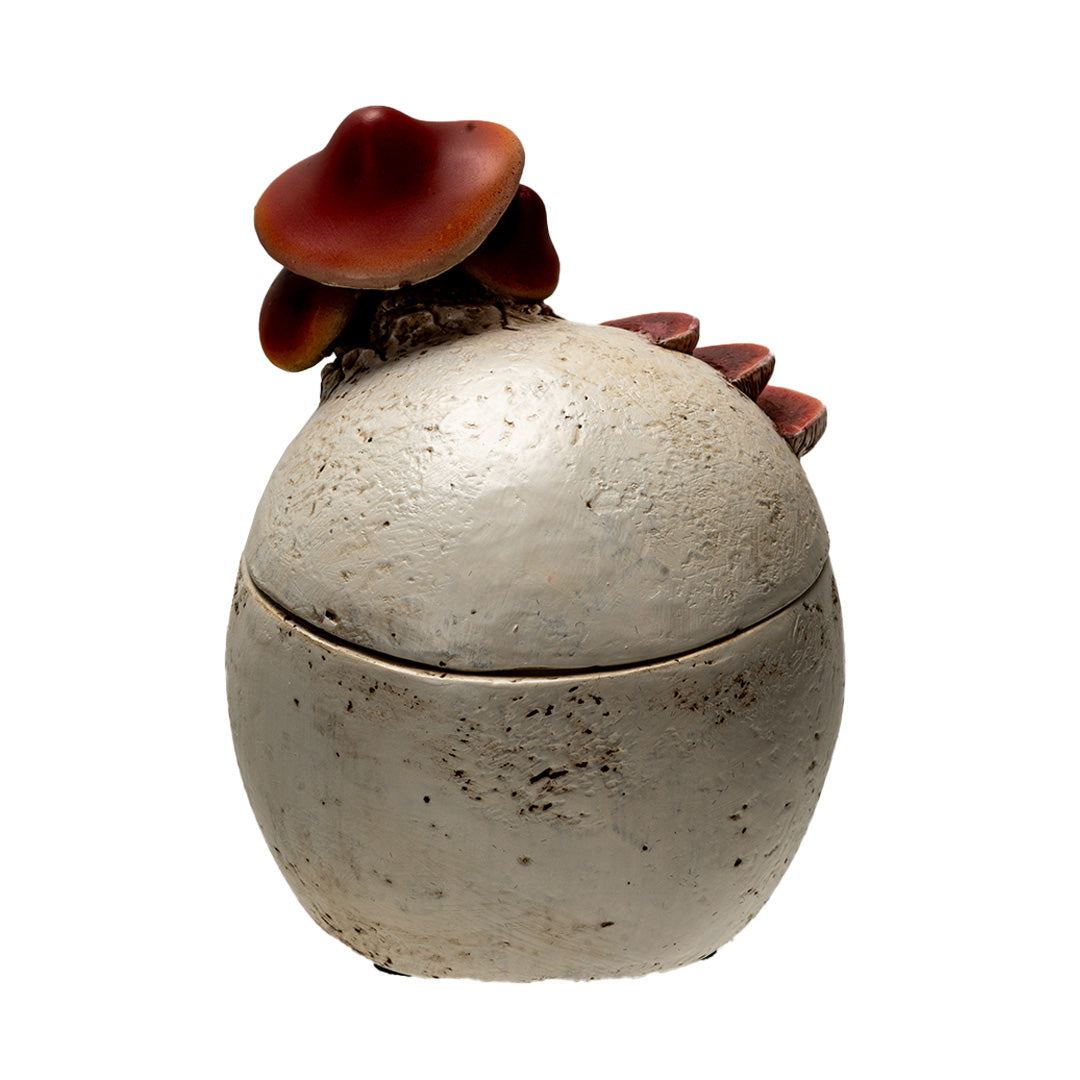 Mushroom Skull Stash Box