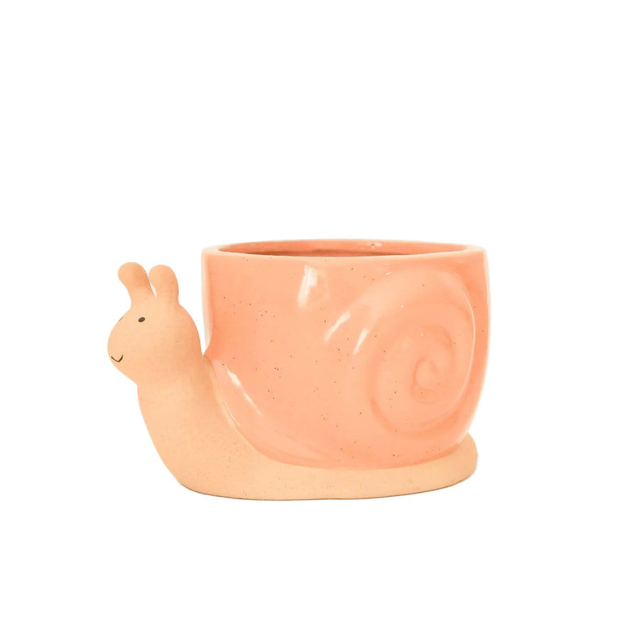 Snail Planter in Sunset - Small