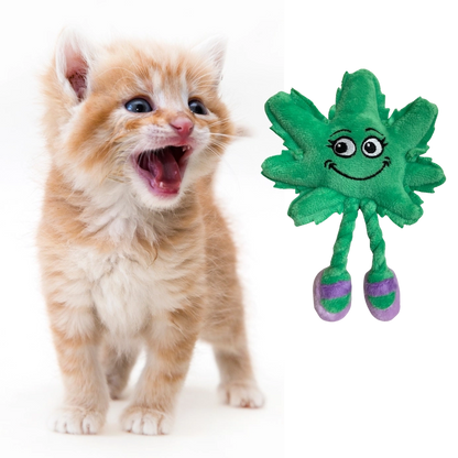 PAW:20 Catnip Cat Toy - Lil' MJ