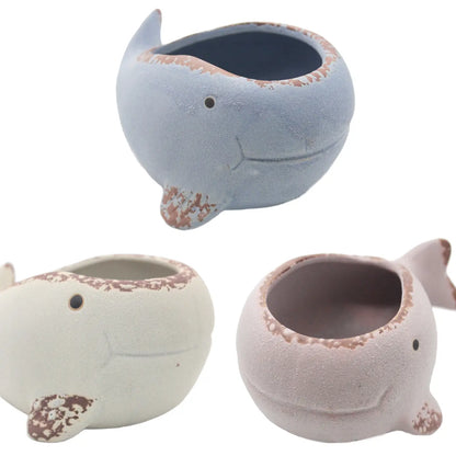 Whale Planter in Assorted Colors