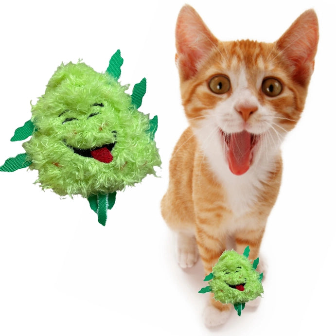 PAW:20 Catnip Cat Toy - Bud Jr.