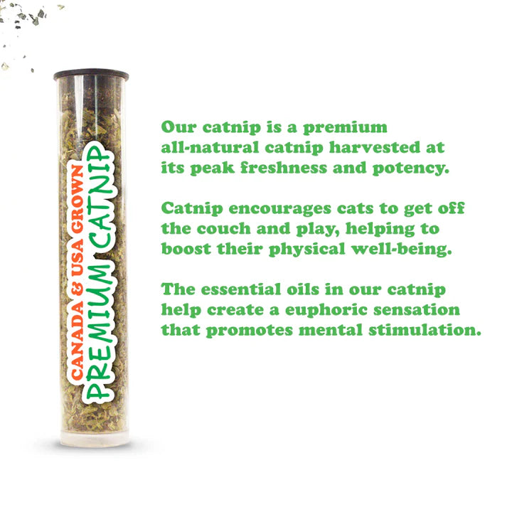 Meowijuana Get Buzzed Bee Refillable Wand Cat Toy