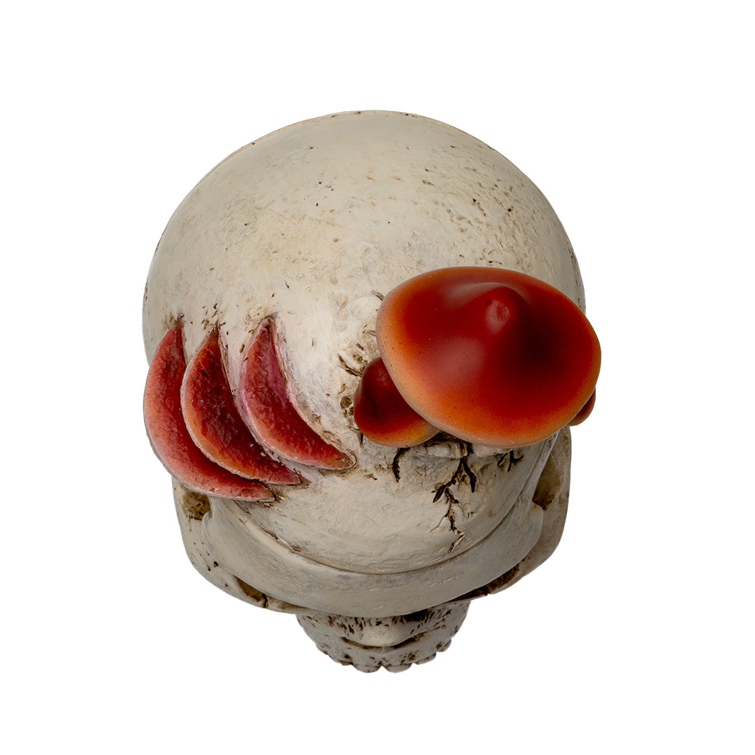 Mushroom Skull Stash Box