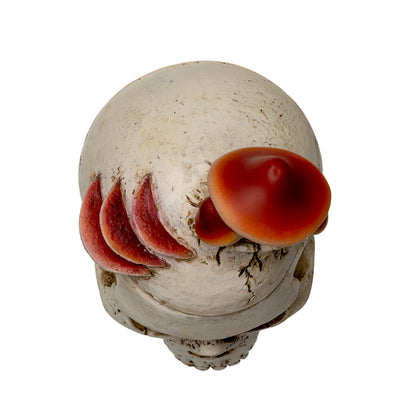 Mushroom Skull Stash Box