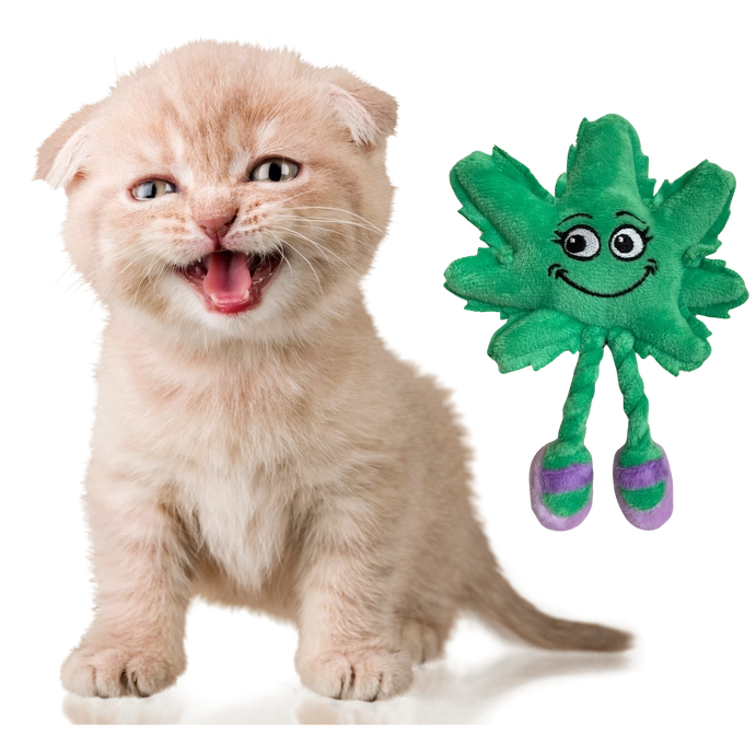 PAW:20 Catnip Cat Toy - Lil' MJ