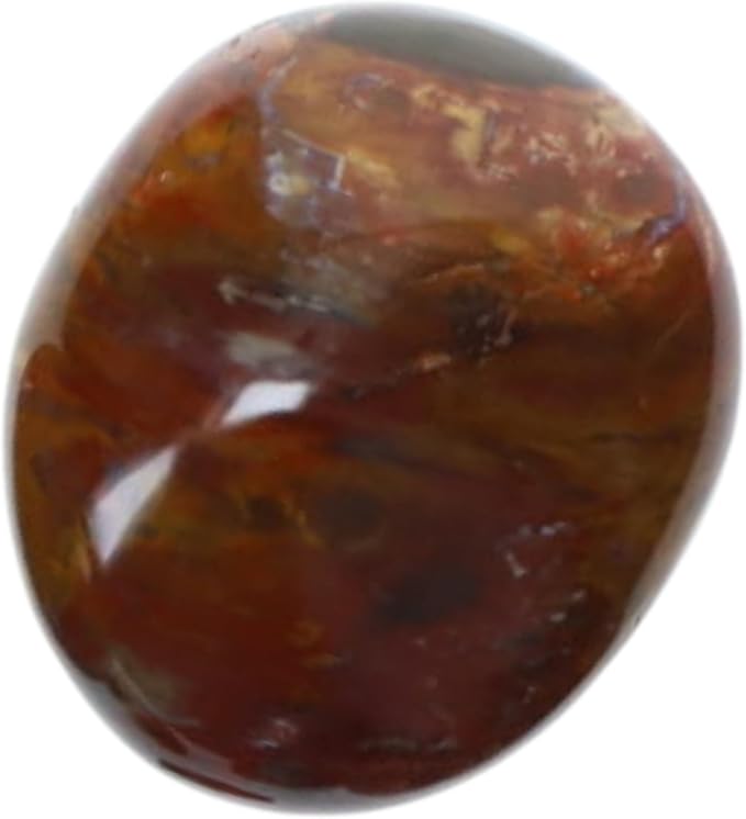 TruEnergy Petrified Wood Palm Stone - 2"