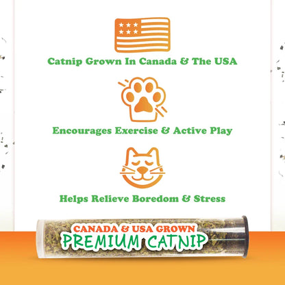 Meowijuana Get Wild Zig Zag Zebra Refillable Cat Toy