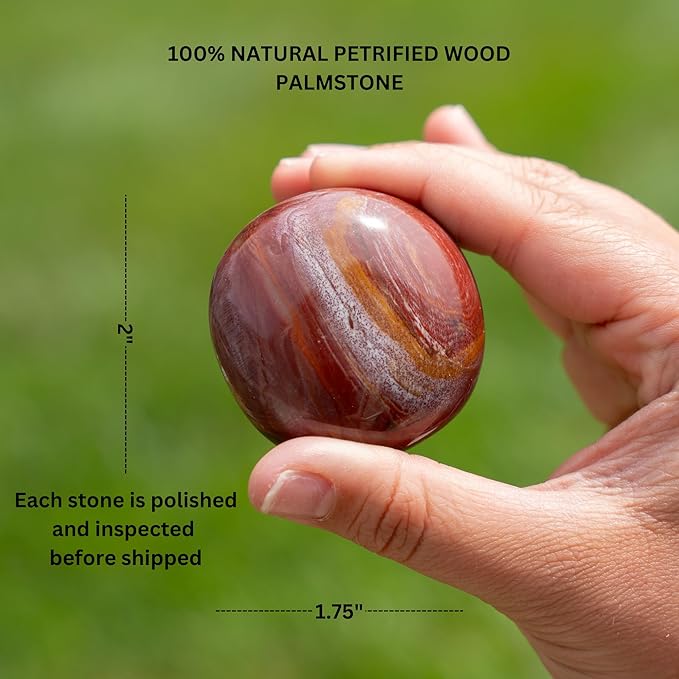 TruEnergy Petrified Wood Palm Stone - 2"