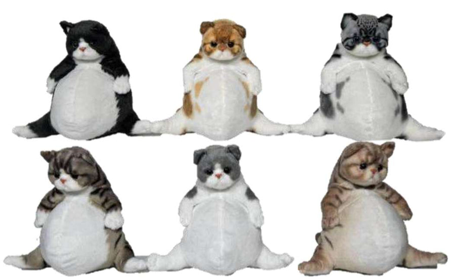 Budda Belly Cat