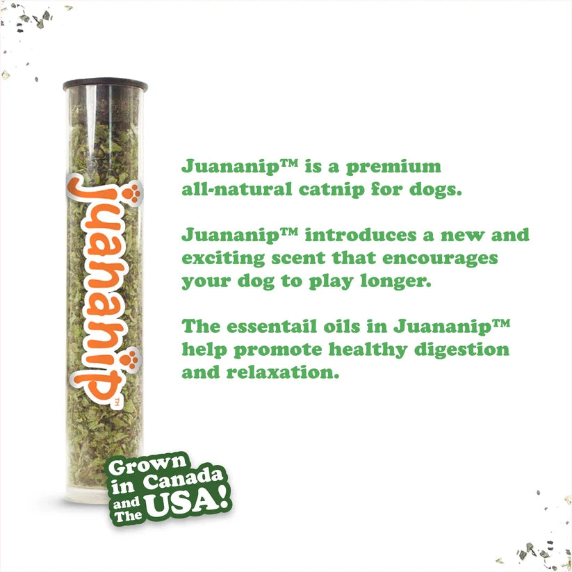 Doggijuana Tuffer Chewer Mini Stocking Stuffer Dog Toy