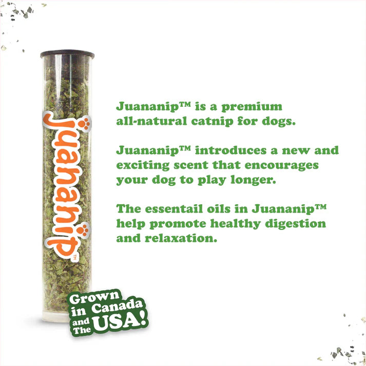 Doggijuana Tuffer Chewer Beer Mug Refillable Dog Toy