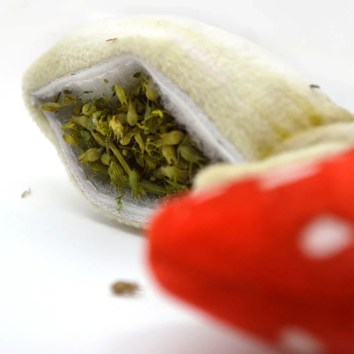 Meowijuana Get Sprung Mushroom Refillable Cat Toy