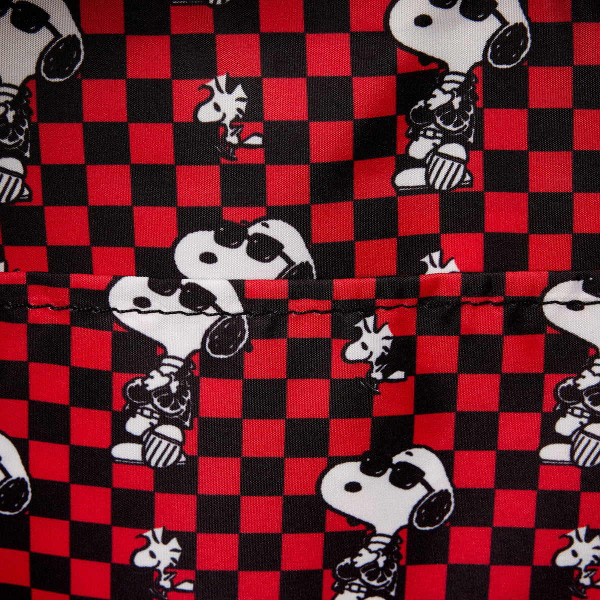Loungefly Peanuts Snoopy and Woodstock Grunge Mini Backpack