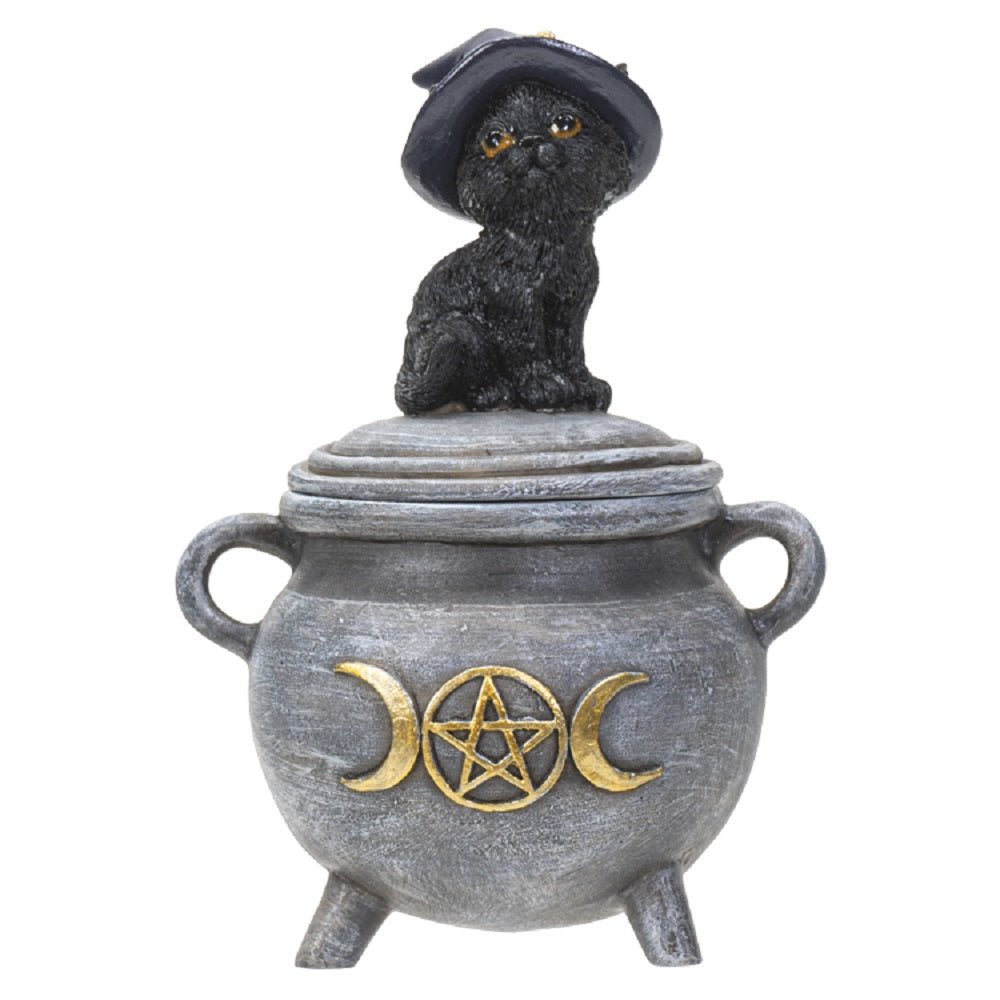 Black Cat on Cauldron