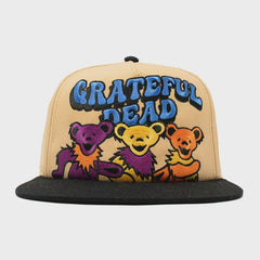 Grateful Dead An Interrupted Walk Flatbill Hat