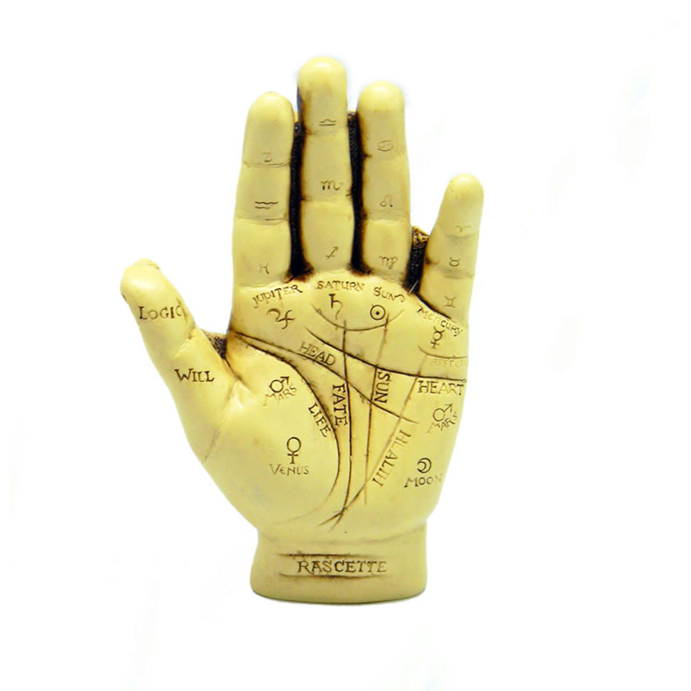 Palmistry Hand - Large