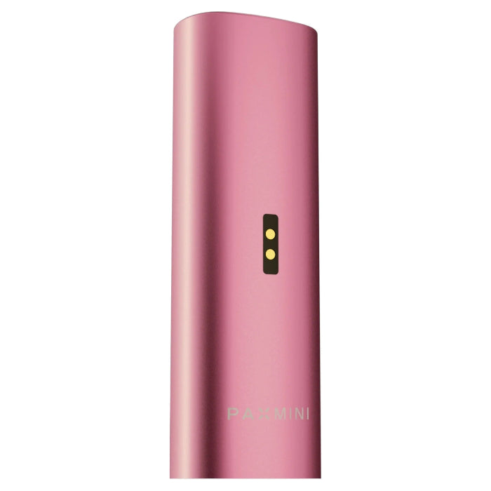 Pax Mini 2 - Pink Crush