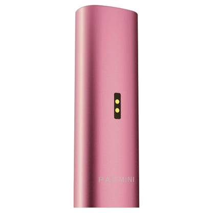 Pax Mini 2 - Pink Crush