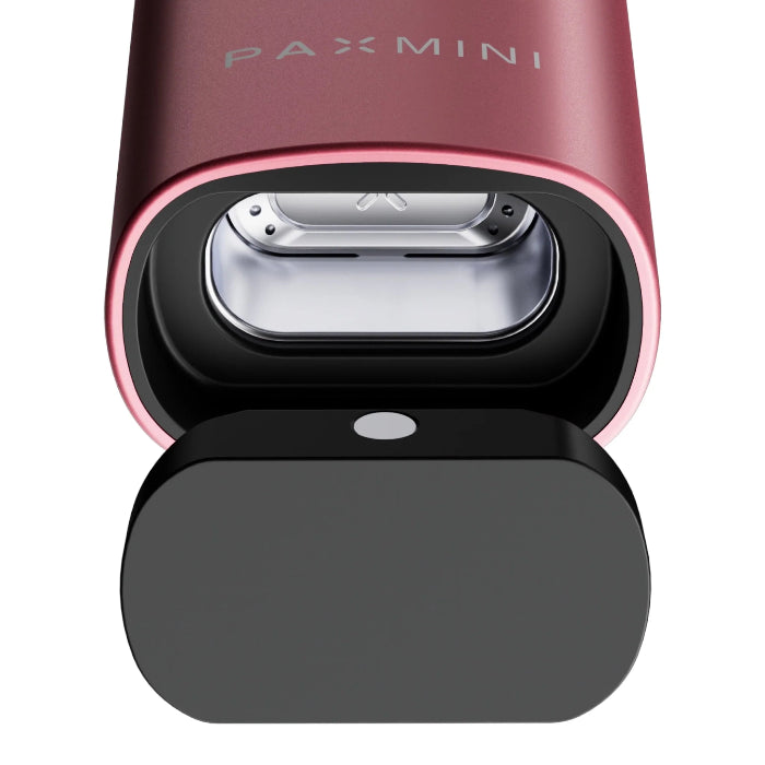 Pax Mini 2 - Pink Crush