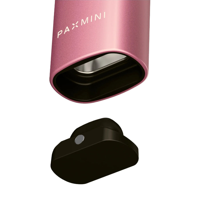 Pax Mini 2 - Pink Crush