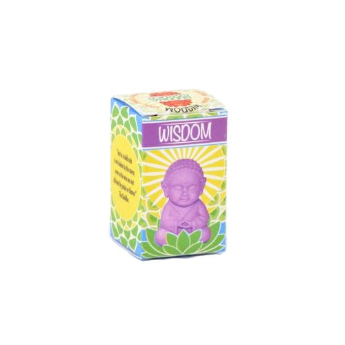 Pocket Buddha - Wisdom