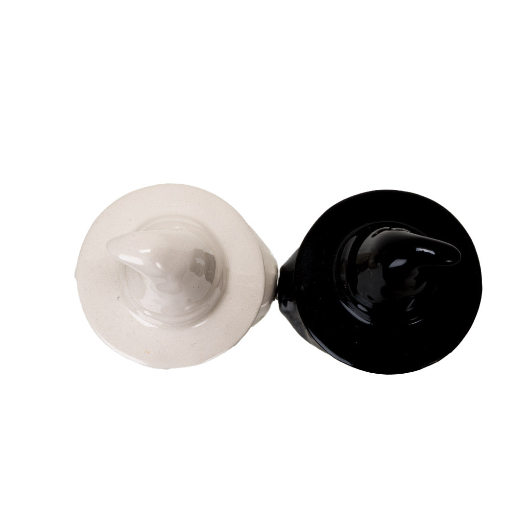 White Witch Black Witch Salt and Pepper Shaker Set