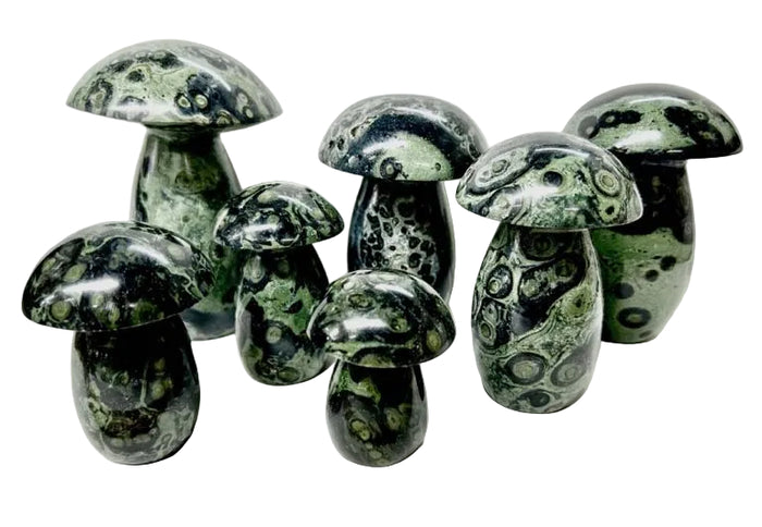Kambaba Jasper Mushroom