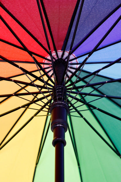 Rainbow Panel Umbrella