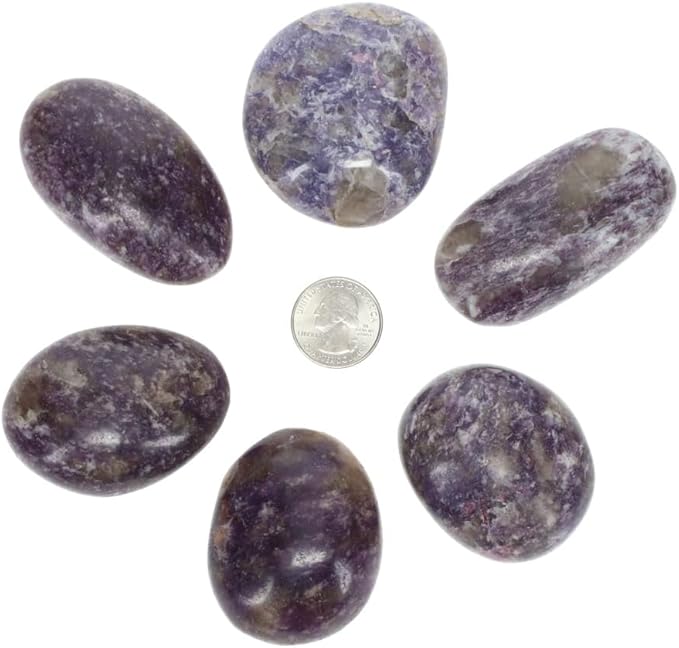 TruEnergy Lepidolite Palm Stone - 2"