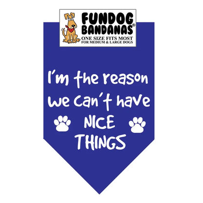 FunDog Bandanas I'm The Reason We Don't Have Nice Things Dog Bandana - Assorted Colors