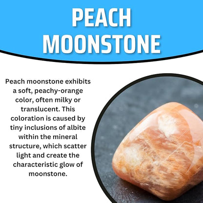TruEnergy Peach Moonstone Palm Stone - 2"
