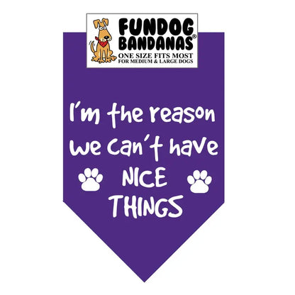 FunDog Bandanas I'm The Reason We Don't Have Nice Things Dog Bandana - Assorted Colors