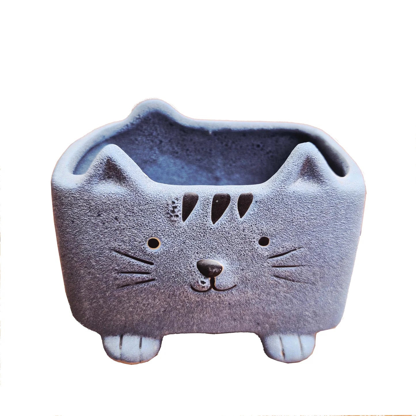Squared Pastel Cat in Assorted Colors