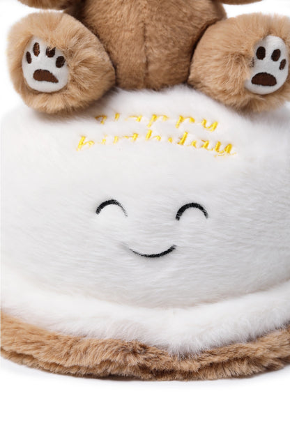 McHugs Birthday Wishes Bear Cake Stuffed Animal