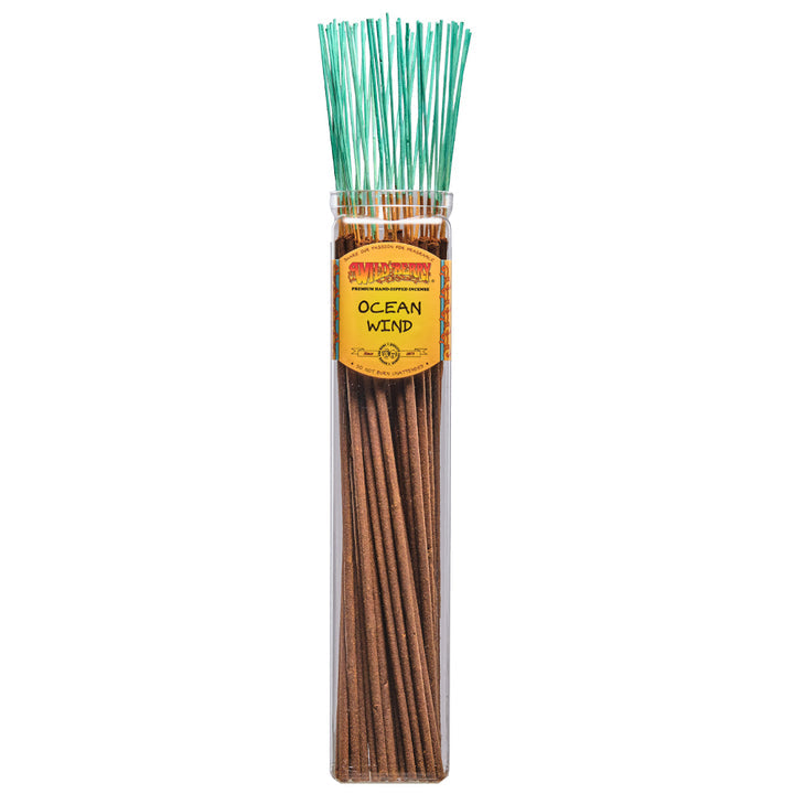 Ocean Wind Wild Berry BIGGIE Incense Sticks / 5