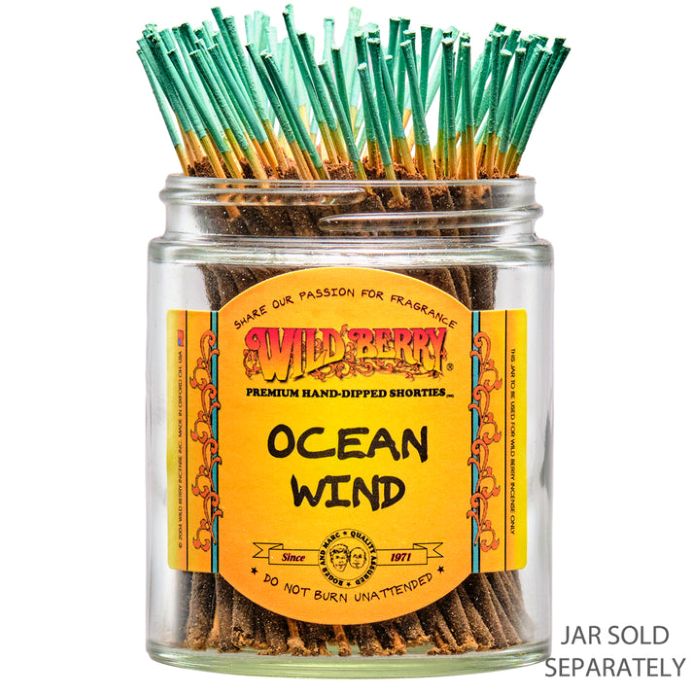 Ocean Wind Wild Berry Mini Incense Sticks