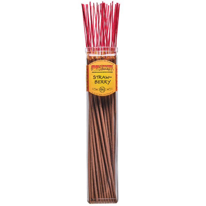 Strawberry Wild Berry BIGGIE Incense Sticks / 5