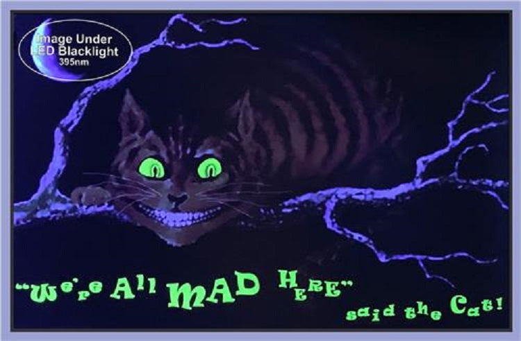 Alice In Wonderland We're All Mad Here Cat Black Light Poster SALE