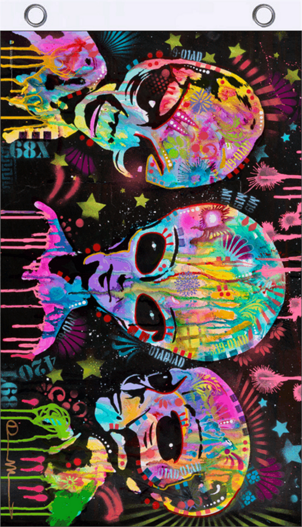 Aliens by Dean Russo Flag 3'x5' – Sunshine Daydream