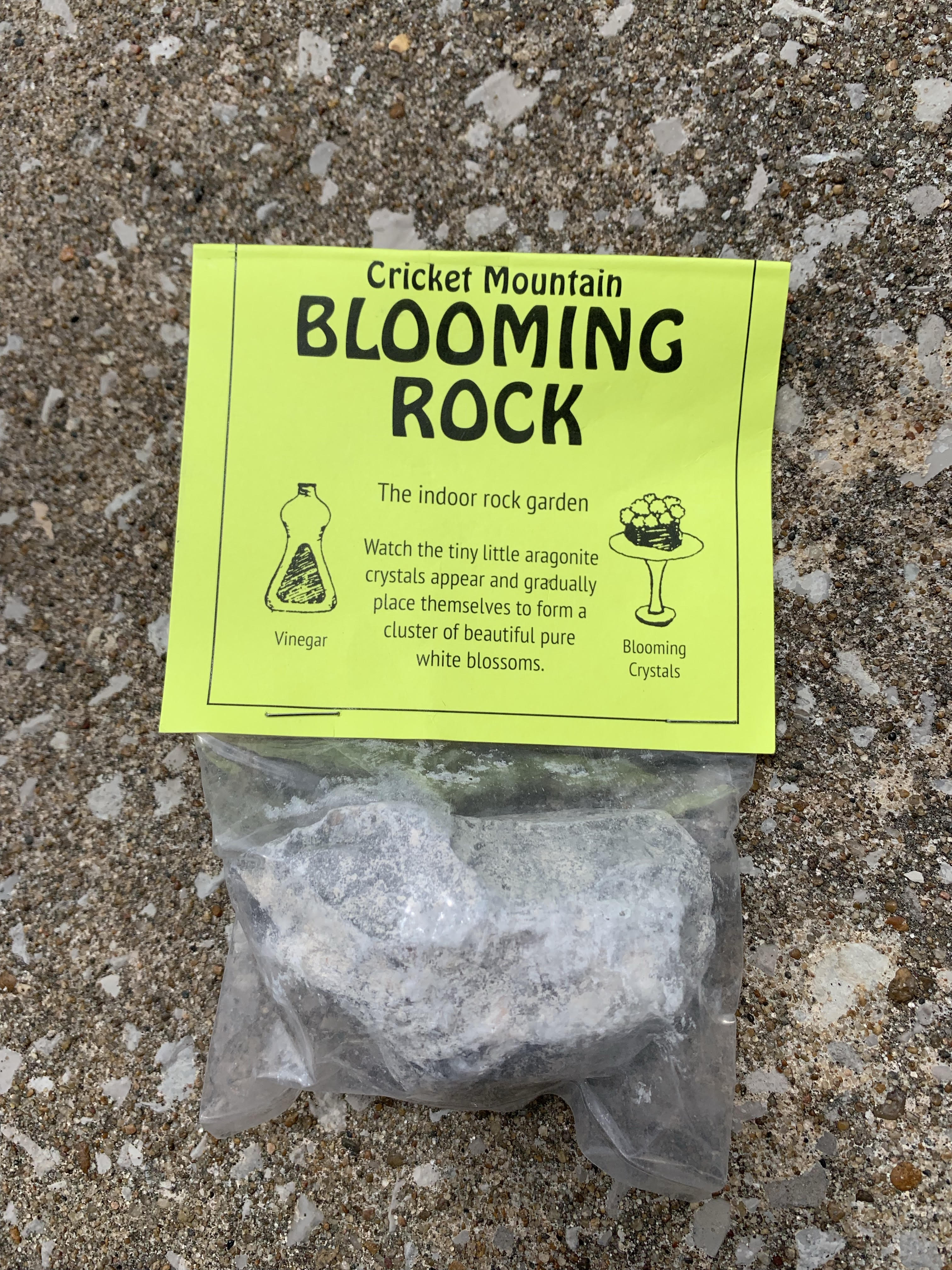Blooming Rock