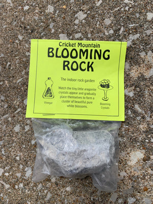 Blooming Rock